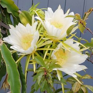 Meet your Posher, Mai